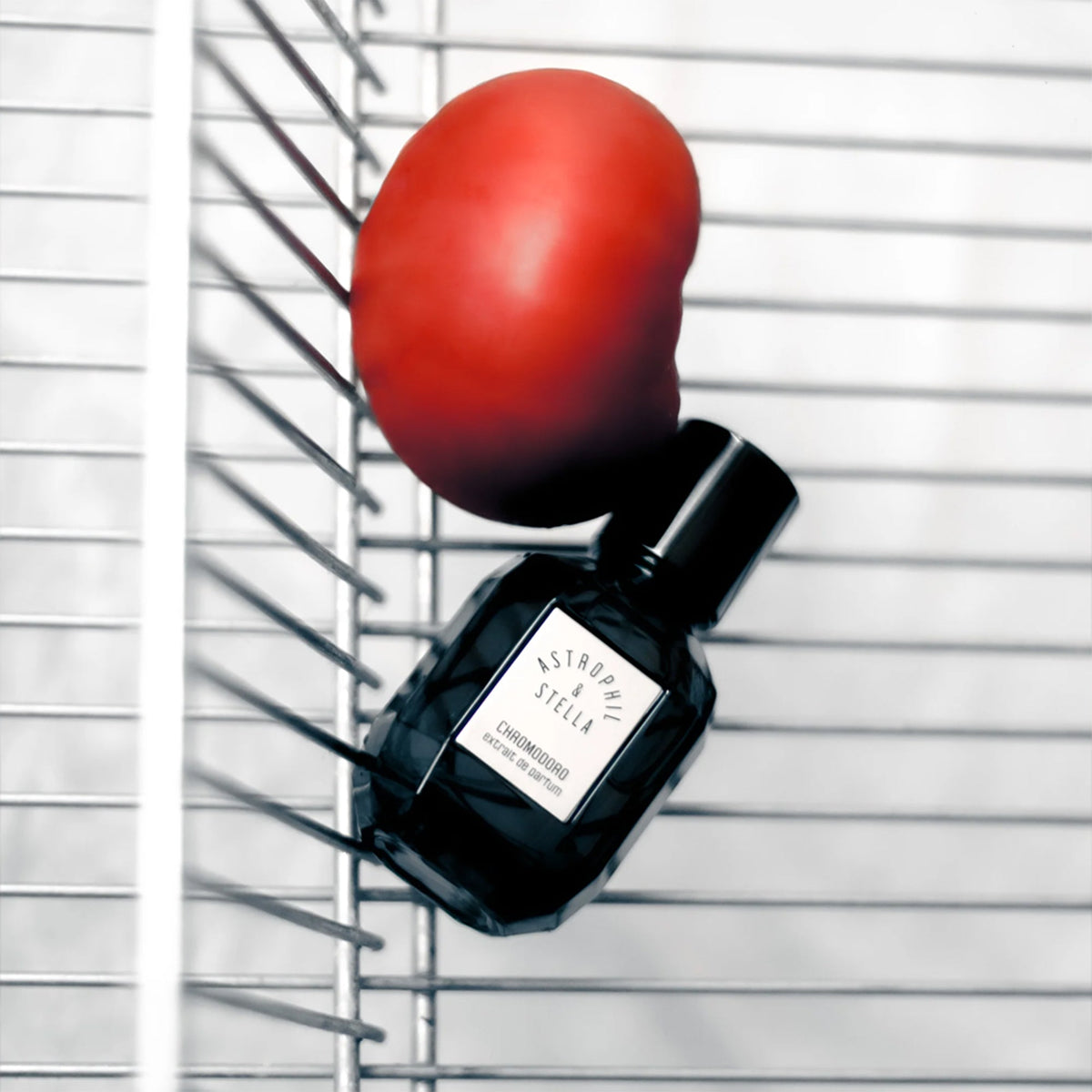 Flakon des Nischenparfums Chromodoro von Astrophil & Stella