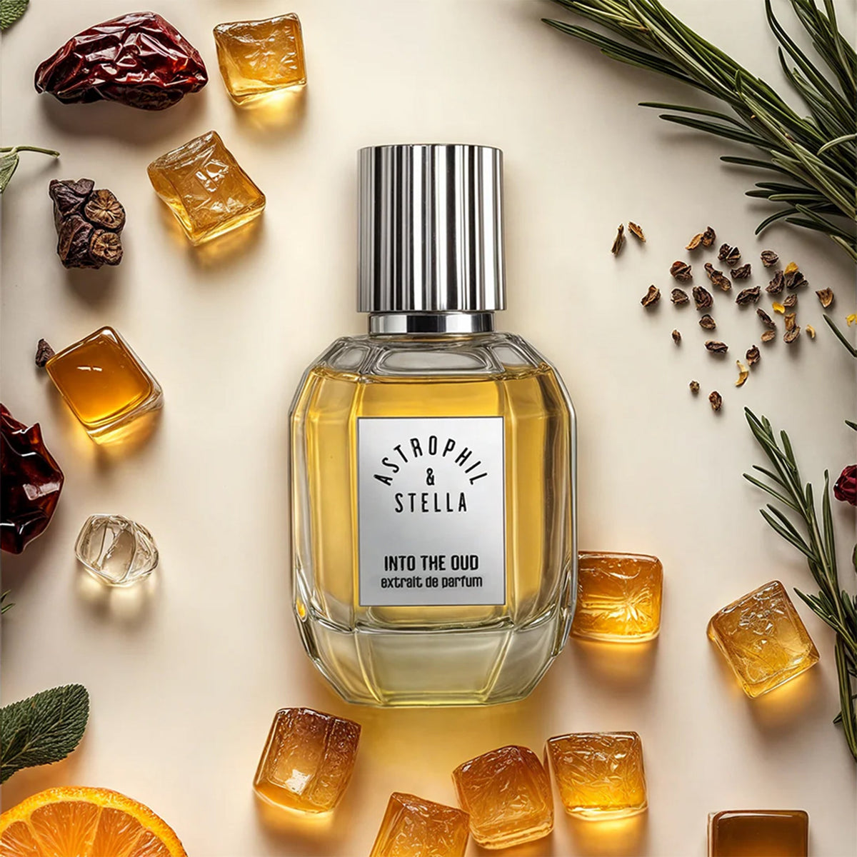 Flakon des Nischenparfums Into the Oud von Astrophil & Stella