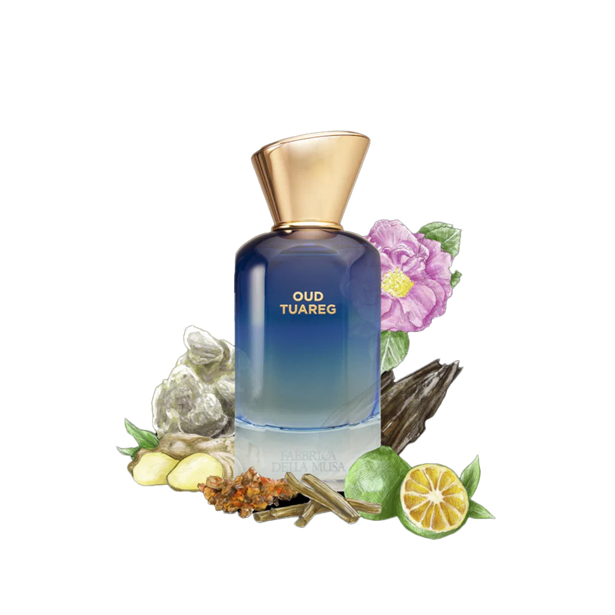 Flakon des Nischenparfums Oud Tuareg von Fabbrica della Musa